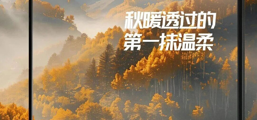 简尚门窗 | 秋暖透窗的第一抹温柔，使家与自然暖心相偎